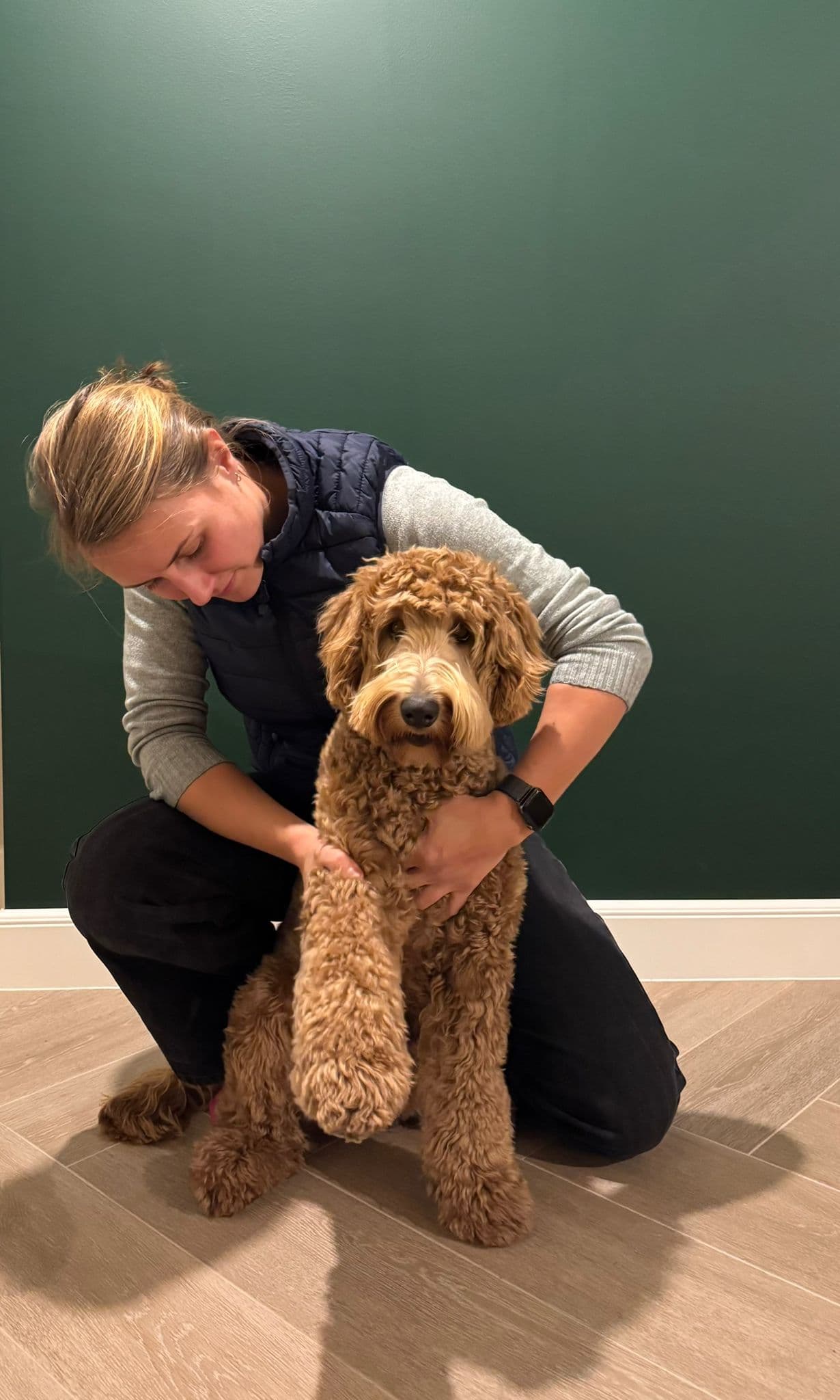 OsteoCure behandeling bij een hond