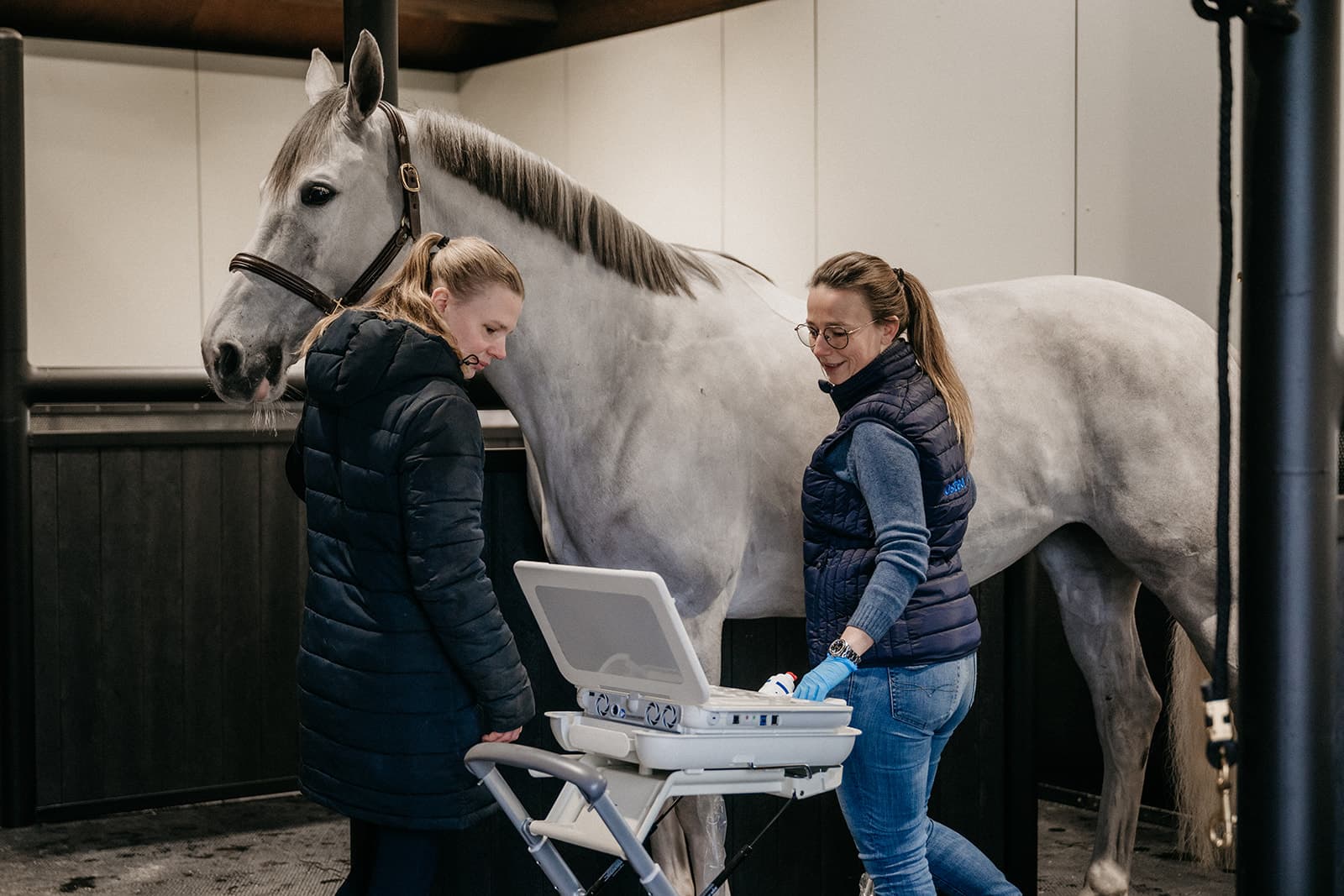 OsteoCure onderzoek bij een paard
